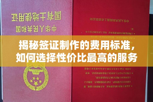 腾冲揭秘签证制作的费用标准，如何选择性价比最高的服务？